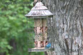 Caged Birdfeeder