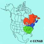 American Black Duck range map
