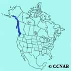 American Crow (Western) range map