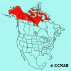 American Golden-Plover range map