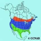 American Goldfinch range map