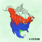 American Kestrel range map