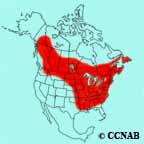 American Redstart range map