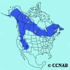 range map