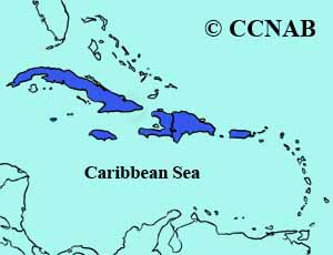 Antillean Palm-Swift range map