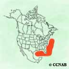 Band-rumped Storm-Petrel range map