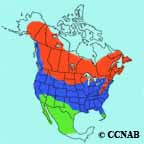 Belted Kingfisher range map