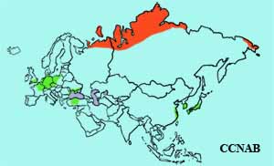 Bewick's Swan range map