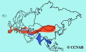 range map
