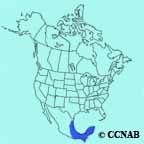 Blue-gray Tanager range map