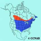 Blue Jay range map