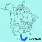 Brown Jay range map