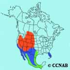 Burrowing Owl range map