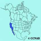 California Scrub-Jay range map