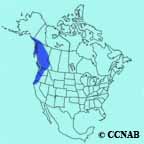 Canada Jay (Northwest) range