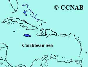 Caribbean Dove range