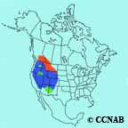 Cassin's Finch Range Map