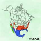 Western Cattle Egret range map