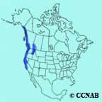 Chestnut-backed Chickadee range