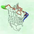 Common Eider range map