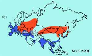 Common Moorhen range