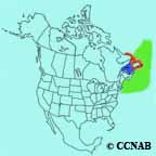 Common Murre (Bridled) range map