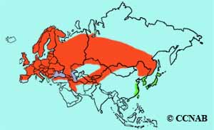 Common Redstart range