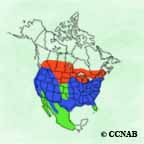 Cooper's Hawk range map