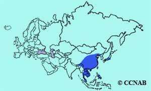 Crested Myna range map