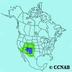 Dark-eyed Junco (Gray-headed) range map