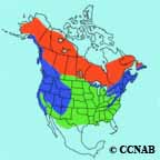 Dark-eyed Junco range map