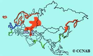 Eurasian Oystercatcher range