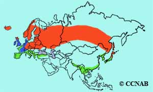 Eurasian Woodcock range