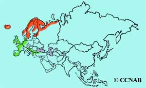 European Golden-Plover range