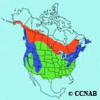 Golden-crowned Kinglet range map