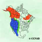 CCNAB"class="feature"/