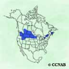 Gray Partridge range map