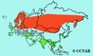 Green Sandpiper range map