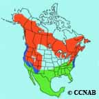 Hermit Thrush range map