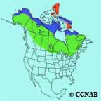 Hoary Redpoll range map