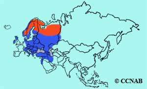 Hooded Crow range map