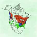 Hooded Merganser range map