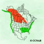 Horned Grebe range map