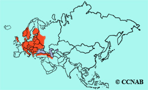 Icterine Warbler range map