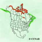 King Eider range map