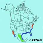 Laughing Gull range map