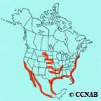 Least Tern range map