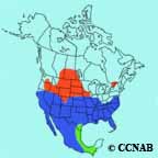 Loggerhead Shrike range map