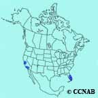 Mitred Parakeet range map