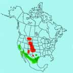 Mountain Plover range map